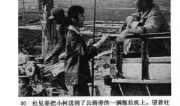 知青下乡题材的电视剧,知青岁月里的青春之歌